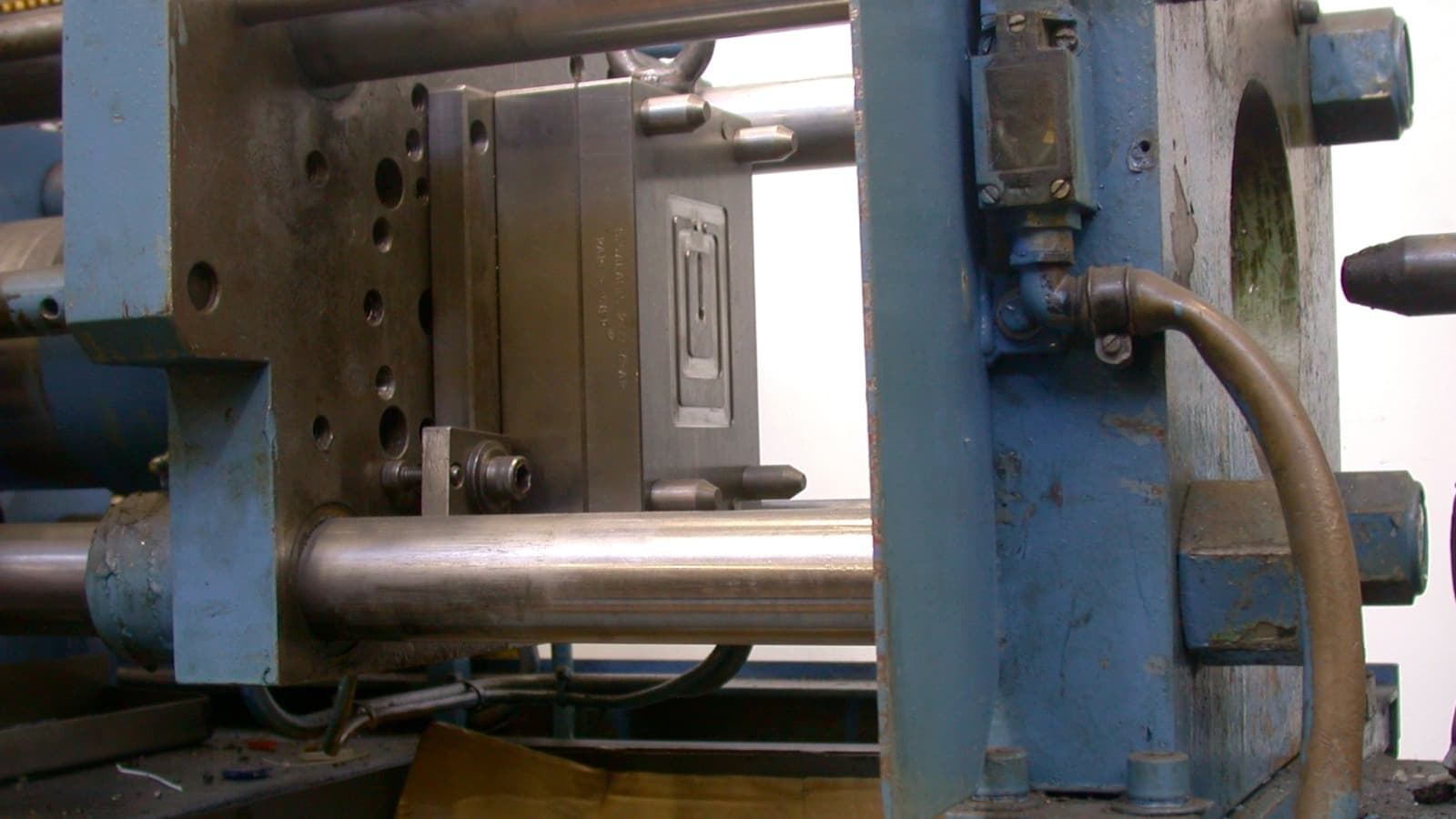 Mould image 3